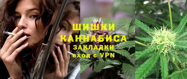 СК Бронницы