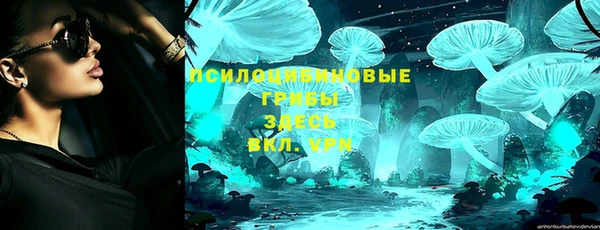 винт Бородино