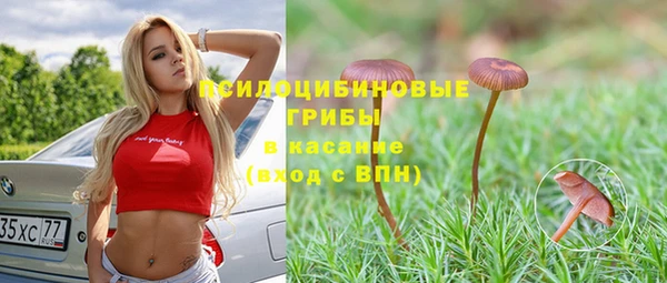твердый Бугульма